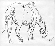 Grafica Florin Teodorescu - Cal pascand